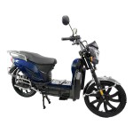 electric vehicles ladyboy head bumblebee front pocket lead-acid battery/lithium battery electric vehicles